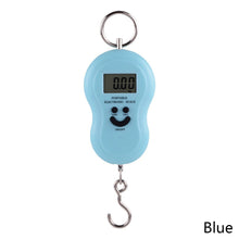 Load image into Gallery viewer, 50Kg/10g Portable Hanging Digital Scale with Backlight Electronic Fishing Weights Pocket Scale Luggage Scales with Hook