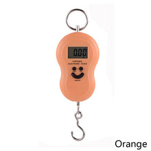 Load image into Gallery viewer, 50Kg/10g Portable Hanging Digital Scale with Backlight Electronic Fishing Weights Pocket Scale Luggage Scales with Hook