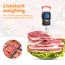Load image into Gallery viewer, 50Kg/5g LCD Digital Scale with Backlight Portable Hanging Hook Scale Double Accuracy Fishing Travel Mini Electronic Weighing Scale