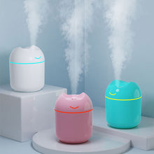 Load image into Gallery viewer, Portable 250ml USB Chargeable Air Humidifier Mute Aromatherapy Aroma Oil Diffuser with Night Light Cool Mist Sprayer Plants Purifier for Bedroom Home Car