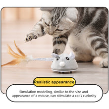 Load image into Gallery viewer, Smart Sensing Mouse Cat Toys Interactive Electric Stuffed Toy Cat Teaser Self-Playing USB Charging Kitten Mice Toys for Cats Pet Supplies
