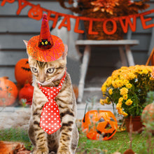 Load image into Gallery viewer, Funny Pet Halloween Costume Hat for Cats Dogs Dress Up Costume Cat Hat Christmas Cosplay Headwear Pumpkin Witch Party Supplies