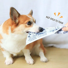 Load image into Gallery viewer, Newspaper Dog Toys Funny Paper Rubbing Sound Small Medium Dog Chewing Toys Bite Resistant Tissue Replacement Dog Clean Teeth toys
