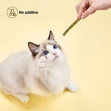 Load image into Gallery viewer, 6 Sticks/Box Cat Chewing Toys 100% Natural Silver Vine Catnip Toys Sticks Kittens Teeth Cleaning Stick For Cats