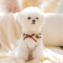 Load image into Gallery viewer, Autumn and Winter Pet Warm Hoodie Puppy Dog Cat Sweater Shirt Jacket Two-legged Cartoon Pet Clothes Teddy Bichon Pomeranian Schnauze Dog Clothes