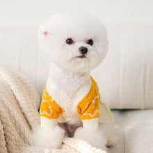 Load image into Gallery viewer, Puppy Hand-painted Flowers Couples Sweater Autumn and Winter Warm Teddy Clothes Than Bear Dress Knitted Dog Clothes XS-XL