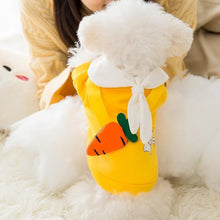 Load image into Gallery viewer, Winter Cartoon Dog Clothes Cute Bow Tie Satchel Pet Clothing for Small Dogs Puppy Cat Costumes Coat Warm Plush Sweater Chihuahua