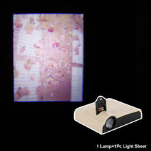 Load image into Gallery viewer, Ins Scenery Projection Lamp Sea Clouds Landscape Projector Photo Prop Creative Photograph Background Wall Light Party Decor