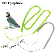 Load image into Gallery viewer, 4M/5M/6M/8M/10M Pet Bird Parrot Flying Rope Cockatiels Starling Bird Pet Leash Kits Anti-bite Outdoor Flying Traction Straps Training Rope