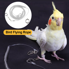 Load image into Gallery viewer, 3M/6M Parrot Bird Flying Training Leash Ultra-light Flexible Rope Anti-bite with Leg Ring Harness Outdoor Macaw Cockatiel Starling