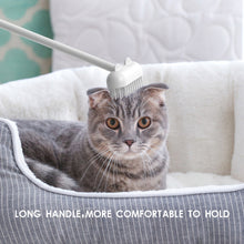 Load image into Gallery viewer, Cat Comb Teasing Stick Cats Dog Brush Pet Hair Remover Mini Creative Brush Cat Teasing Interactive Toys