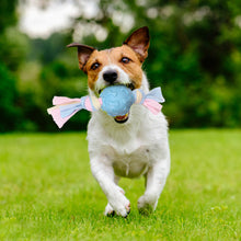 Load image into Gallery viewer, Pet Chewing Toy Molar Toys TPR Teething Bone Interactive Dog Toy Gum Massager Stick Pet Toy Pull Ring Toy