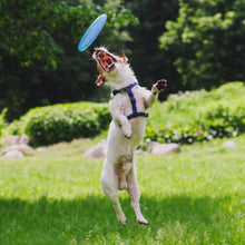 Load image into Gallery viewer, 1Pc TPR Flying Saucer Pet Training Toys Puppy Dogs Cats Game Discs Resistance Bite Chew Puppy Pet Toy For Dog Pet Training Toys