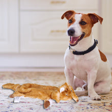 Load image into Gallery viewer, Pet Plush Toys Dog Chew Squeak Molar Toy Fun Pet Toy Donkey Shape Chew Toy for Dogs Training Interactive Dog Accessories