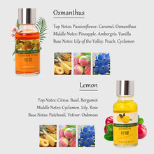 Load image into Gallery viewer, 10ML Car Air Freshener Car Outlet Perfume Replenishment Aromatherapy Oil Natural Plant Essential Conditioning Air Vent Perfume