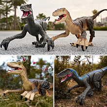 Load image into Gallery viewer, 2.4G RC Electric Walking Dinosaur D-Rex Raptor Toys Remote Control Velociraptor Model Christmas Gifts for Kids Children