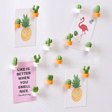 Load image into Gallery viewer, 6pcs Cactus Fridge Magnets Photo Wall Cute Souvenir Gifts 3D Cute Succulent Plant Message Board Reminder Home Decoration Kitchen