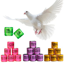 Load image into Gallery viewer, 10/50Pcs 2023 Years Pigeons Foot Ring 8x11mm Pigeons Foot Ring Parrots Leg Rings Birds Training Tool with Nnumbers