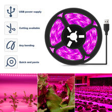 Load image into Gallery viewer, 5V USB LED Grow Light Strip Full Spectrum Phytolamp Plant Light Strip Plants Flower Greenhouse Hydroponic Light Equipments