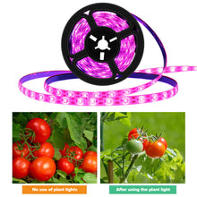 Load image into Gallery viewer, 5V USB LED Grow Light Strip Full Spectrum Phytolamp Plant Light Strip Plants Flower Greenhouse Hydroponic Light Equipments