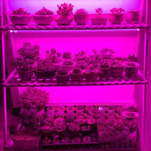 Load image into Gallery viewer, 5V USB LED Grow Light Strip Full Spectrum Phytolamp Plant Light Strip Plants Flower Greenhouse Hydroponic Light Equipments
