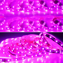 Load image into Gallery viewer, 5V USB LED Grow Light Strip Full Spectrum Phytolamp Plant Light Strip Plants Flower Greenhouse Hydroponic Light Equipments