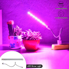 Load image into Gallery viewer, USB 5V LED Grow Light Full Spectrum Red Blue Phyto Grow Lamp Indoor Phytolamp For Plants Flowers Seedling Greenhouse Fitolampy