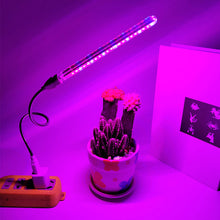 Load image into Gallery viewer, USB 5V LED Grow Light Full Spectrum Red Blue Phyto Grow Lamp Indoor Phytolamp For Plants Flowers Seedling Greenhouse Fitolampy