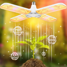 Load image into Gallery viewer, 24W 36W 48W Foldable LED Grow Light Full Spectrum E27 110 220V Plant Growing Light Phytolamp Bulb For Indoor Plants Flower Seedling