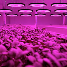 Load image into Gallery viewer, 100 150 200W Full Spectrum LED Grow Light 110V 220V Plant Growing Light Phytolamp Bulb For Indoor Plants Flower Seedling