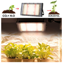 Load image into Gallery viewer, Full Spectrum LED Grow Light Phyto Lamp AC220V Plant Light LED Fitolampy for Greenhouse Hydroponic Plant Growth Lighting
