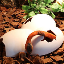 Load image into Gallery viewer, Aquarium Decoration Reptile Hiding Cave Animal Pet Case Egg Shell Hideouts Decoration For Turtle Lizard Snake Reptile Amphibian Supplies