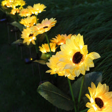 Load image into Gallery viewer, Solar Sunflowers Outside Garden Lawn Light IP65 Waterproof Solar Flowers Pathway Light for Patio Yard Wedding Holiday Decoration