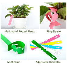 Load image into Gallery viewer, 100PCS Gardening Plant Nursery Hang Tag Plastic Identification Card Waterproof Ring Set Reusable Label Markers Garden Tool