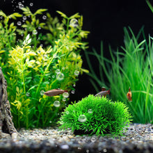 Load image into Gallery viewer, Plastic Artificial Aquarium Grass Ball Simulated Artificial Underwater Grass Fish Tank Decoration Plant Aquarium Ornaments Reptile Accessories