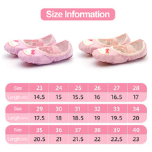 Load image into Gallery viewer, Girls Cartoon Ballet Shoes Kids Dance Slippers Professional Soft Sole Ballet Dance Girls Female Ballet Yoga Gym Dance Shoes
