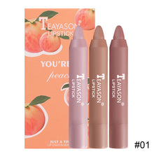 Load image into Gallery viewer, 3pcs/set Mist Velvet Matte Lipstick Nude Non-fading Long Lasting Matte Lipstick Lip Makeup Cosmetics