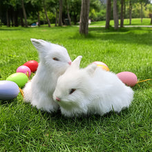 Load image into Gallery viewer, Simulation Chick Rabbit Plush Toy Children Cognition Chicken Model Figurine Realistic Furry Animal Doll Chicken Easter Gift Kids