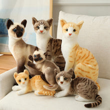 Load image into Gallery viewer, Lifelike Siamese Cats Plush Toy Simulation American Shorthair Cat Stuffed Doll Pet Toys Home Decor Gifts For Kids Birthday