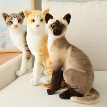Load image into Gallery viewer, Lifelike Siamese Cats Plush Toy Simulation American Shorthair Cat Stuffed Doll Pet Toys Home Decor Gifts For Kids Birthday