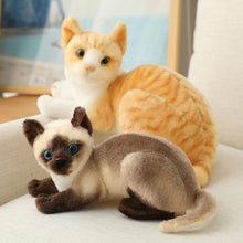 Load image into Gallery viewer, Lifelike Siamese Cats Plush Toy Simulation American Shorthair Cat Stuffed Doll Pet Toys Home Decor Gifts For Kids Birthday