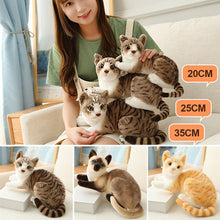 Load image into Gallery viewer, Lifelike Siamese Cats Plush Toy Simulation American Shorthair Cat Stuffed Doll Pet Toys Home Decor Gifts For Kids Birthday