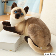 Load image into Gallery viewer, Lifelike Siamese Cats Plush Toy Simulation American Shorthair Cat Stuffed Doll Pet Toys Home Decor Gifts For Kids Birthday