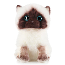 Load image into Gallery viewer, 20/26CM Simulation Ragdoll Cat Plush Toy Blue Eyes Kitten Dolls Lifelike Ragdoll Cats Home Decor Cute Gift for Kids Girl