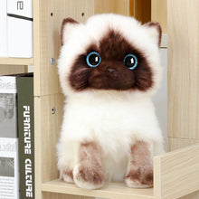 Load image into Gallery viewer, 20/26CM Simulation Ragdoll Cat Plush Toy Blue Eyes Kitten Dolls Lifelike Ragdoll Cats Home Decor Cute Gift for Kids Girl
