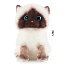 Load image into Gallery viewer, 20/26CM Simulation Ragdoll Cat Plush Toy Blue Eyes Kitten Dolls Lifelike Ragdoll Cats Home Decor Cute Gift for Kids Girl