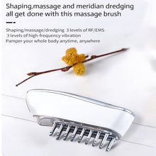 Load image into Gallery viewer, 4 in 1 EMS RF Led Light Electric Head Massage Comb Vibration Therapy Hair Growth Anti Hair Loss Comb Head Massager