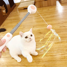 Load image into Gallery viewer, Interactive Cat Toy Feather Teaser Cat-teasing Stick Pet Retractable Refill Replacement Catcher Product for Kitten