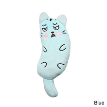 Load image into Gallery viewer, Funny Interactive Plush Cat Toy Cute Cat Face Catnip Cats Toy Kitten Teeth Chewing Biting Plush Toys Cat Plush Thumb Pillow Pet Accessories