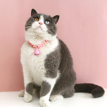 Load image into Gallery viewer, Pet Cat Collar Candy Color Resin Bells Solid Color Collar Neck Chain Pet Cat Puppy Supplies Necklace Accessories